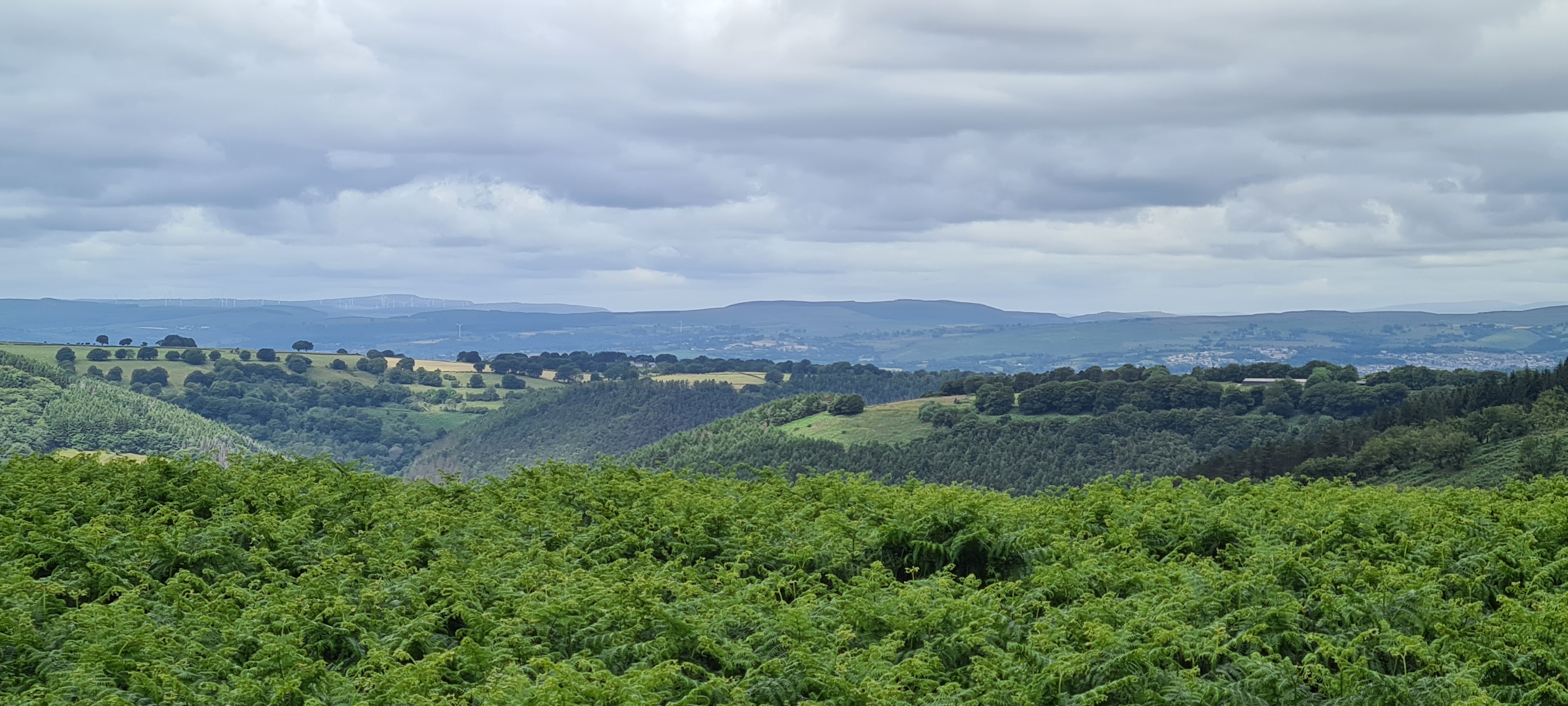 Caerphilly Adventure Group